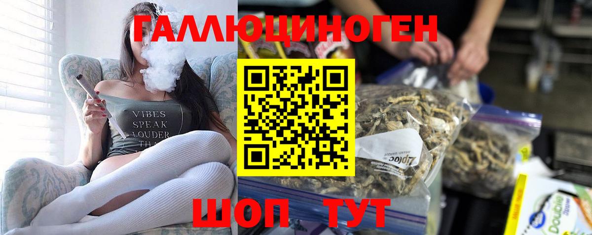 где купить наркоту  Вход с VPN  Майкоп  Галлюциногенные грибы мицелий 